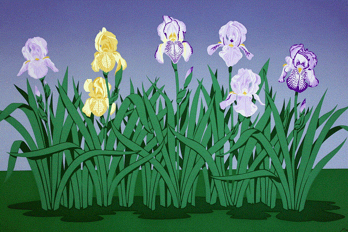 Irises<BR>1990<BR>23in x 35in<BR>Off-White Paper<BR>Colors: 11<BR>Number Produced: 72<BR>$145