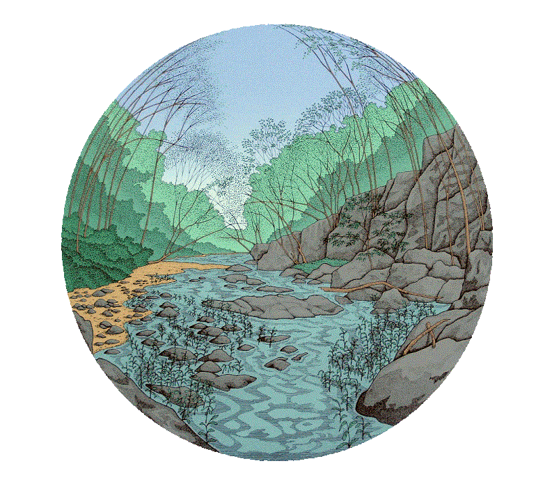 Rhododendron Bluff<BR>1997<BR>23in x 23in<BR>Off-White Paper<BR>Colors: 11<BR>Number Produced: 48<BR>$145