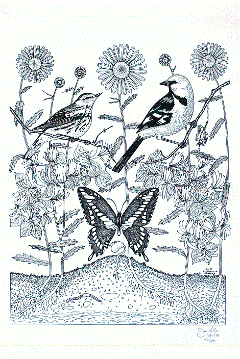 Seeds of Life<BR>1978<BR>19in x 25in<BR>White Paper<BR>Colors: 1<BR>Number Produced: 100<BR>$45