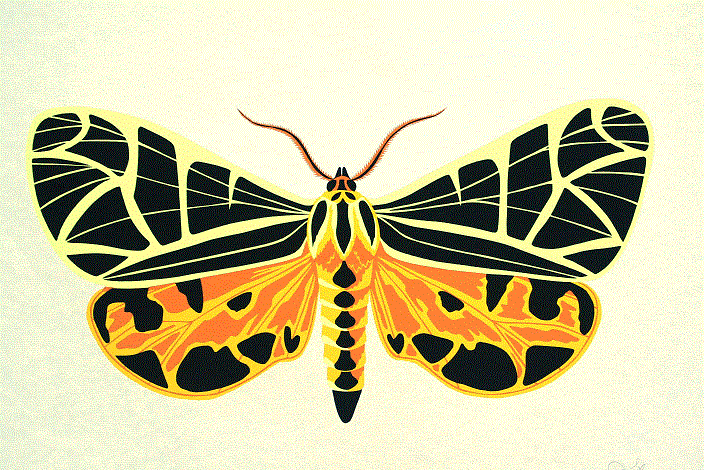 Virgo Tiger<BR>1979<BR>19in x 21.5in<BR>Cream Paper<BR>Colors: 4<BR>Number Produced: 47<BR>$80